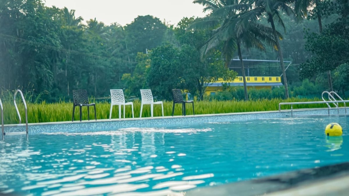 Swimming pool surrounded by palms and paddy greens